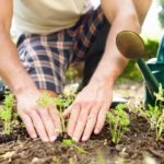 Heart of the Valley, Services of Seniors, Inc.