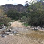 Eaton Canyon Nature Center Associates (ECNCA)