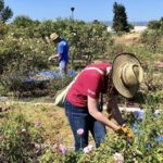 Guadalupe River Park Conservancy