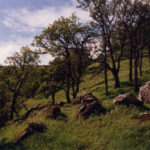 Walnut Creek Open Space Foundation