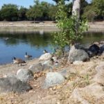 Keep Coyote Creek Beautiful