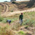 Walnut Creek Open Space Foundation