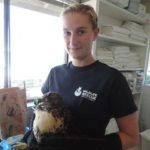 Wildlife Rescue Sonoma County