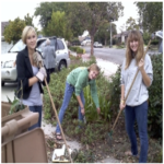 Caregivers: Volunteers Assisting The Elderly