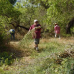 FRIENDS OF GARDENA WILLOWS WETLAND PRESERVE