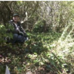 Sutro Stewards