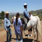 Dream Rider Equestrian Therapy