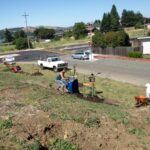 Benicia Tree Foundation